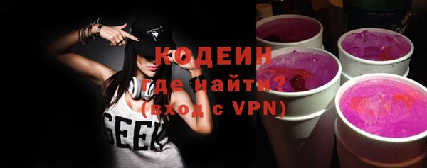 эйфоретик Няндома