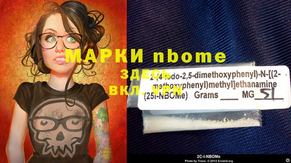 эйфоретик Няндома