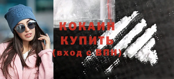 эйфоретик Няндома
