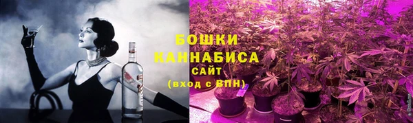 эйфоретик Няндома