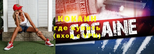 гидра Новозыбков