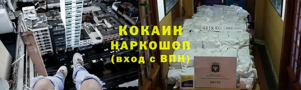 эйфоретик Няндома