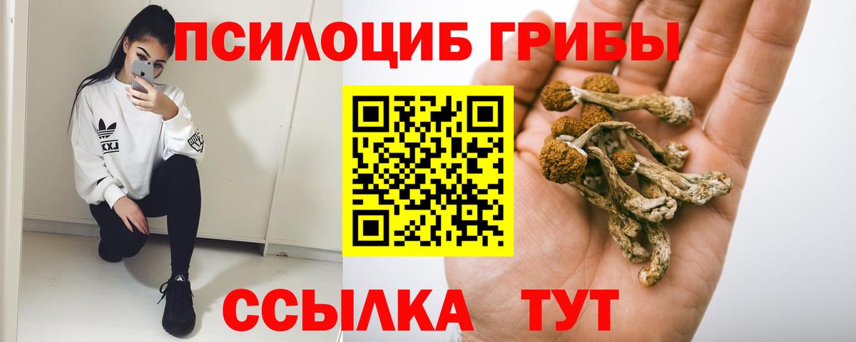 Галлюциногенные грибы MAGIC MUSHROOMS Шумерля