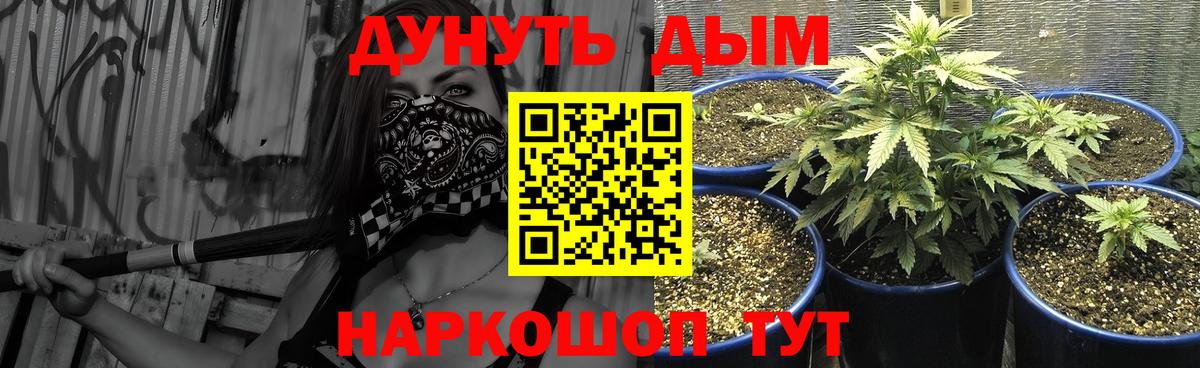 Канабис Bruce Banner  Марихуана Amnesia  Шумерля  Вход с VPN  Каннабис сатива  Шишки марихуана гибрид 